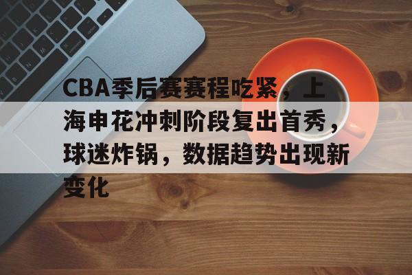 包含CBA季后赛赛程吃紧，上海申花冲刺阶段复出首秀，球迷炸锅，数据趋势出现新变化的词条
